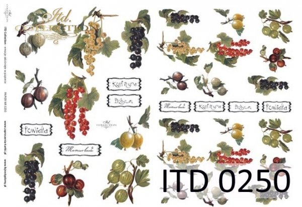 ITD Collection - Gooseberries, Black Currants, Red Currants, White Currants