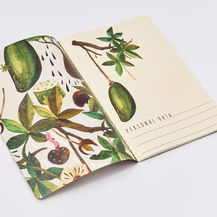 BV by Bruno Visconti - Baobab Tree Notebook