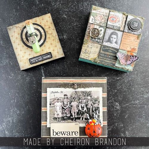 Tim Holtz - Idea-ology - Snapshots