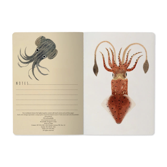 BV by Bruno Visconti - Deep Sea Notebook