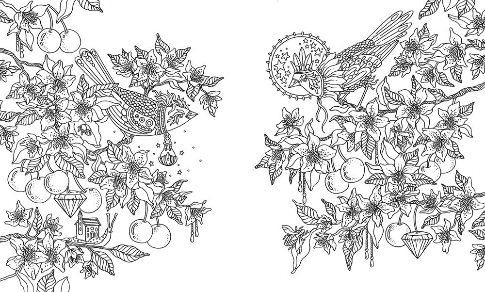 Hanna Karlzon - Jewelry Box Coloring Book