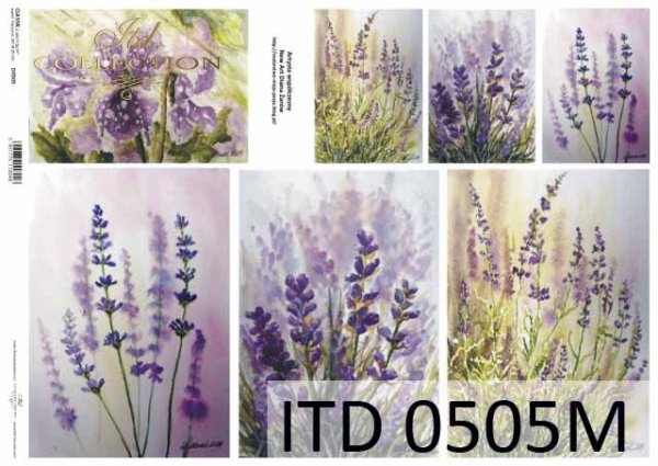 ITD Collection - Lavender by Diana Żarów - Rice Paper