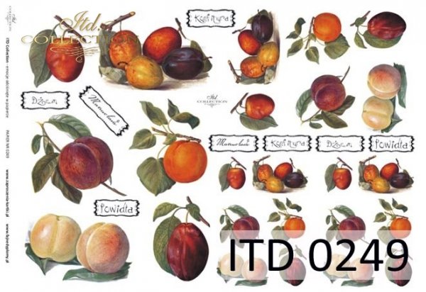 ITD Collection - Peaches, Apricots, Plums - Rice Paper