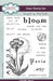 Creative Expressions Sam Poole Bloom 4 in x 6 in Clear Stamp Set