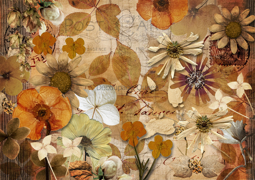 Decoupage Queen - Pressed Autumn Flowers Rice Paper