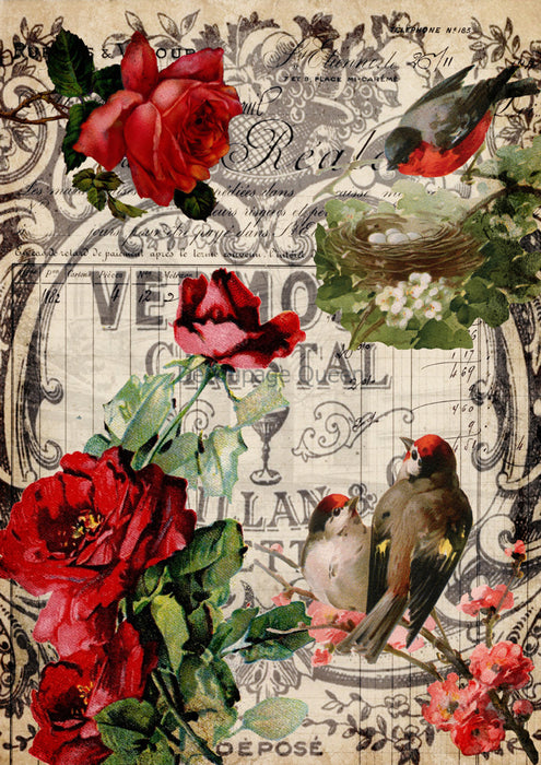 Decoupage Queen - Red Roses and Birds Rice Paper