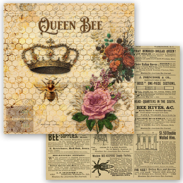 Decoupage Queen - Queen Bee Collection Scrapbook Set - Mini 6 x 6