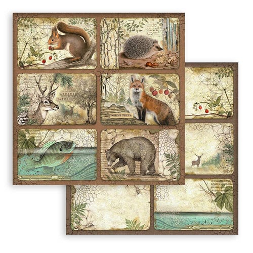 Stamperia - Forest Collection - 8 x 8 Paper Pad