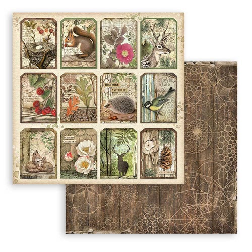 Stamperia - Forest Collection - 8 x 8 Paper Pad