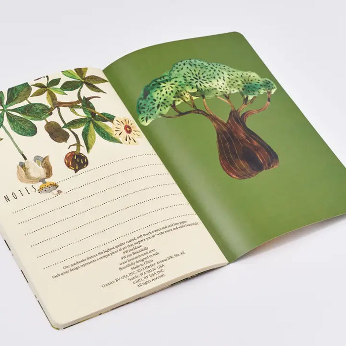 BV by Bruno Visconti - Baobab Tree Notebook