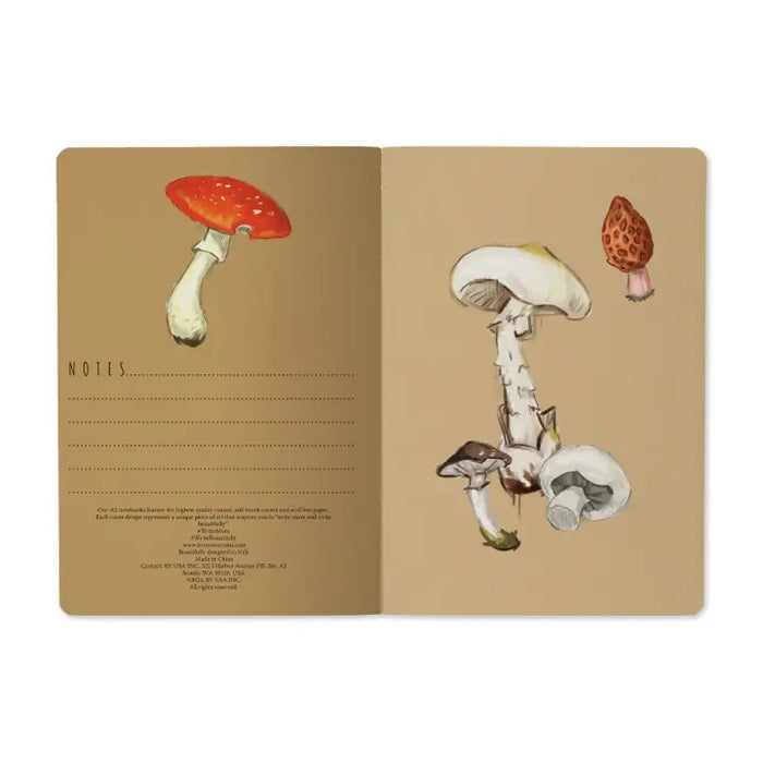 BV by Bruno Visconti - Mushrooms On White