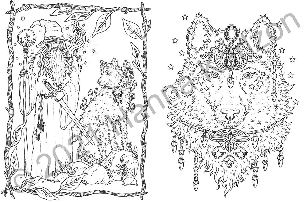 Hanna Karlzon - Tales from the Forest Kingdom Coloring Book